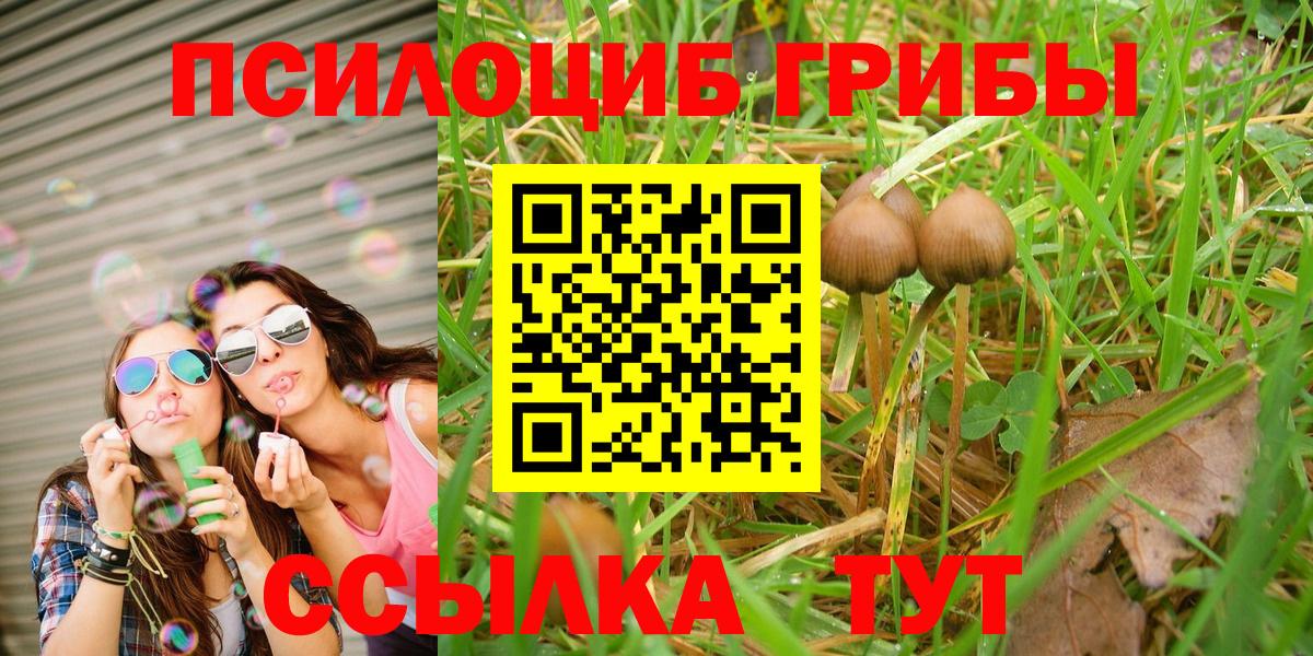 Галлюциногенные грибы Psilocybine cubensis Кирово-Чепецк